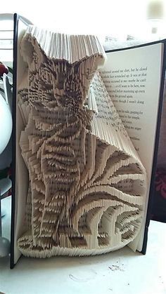 an open book that has been folded into the shape of a cat's head