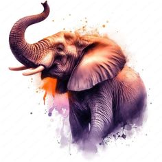 an elephant with tusks standing in front of watercolor splashes on it's face