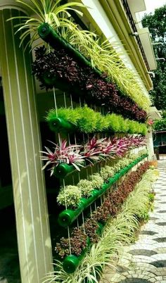 a vertical garden wall with plants growing on the sides and hanging from it's sides