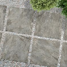 an aerial view of a stone walkway with gravel and rocks in the middle, next to a potted plant