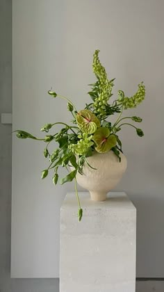 a white vase filled with green plants on top of a block of concrete in front of a wall