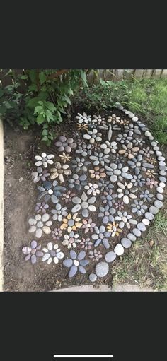 the rocks are arranged into a circle on the ground