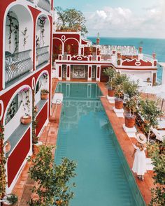 an outdoor swimming pool surrounded by potted plants next to the ocean with red and white architecture