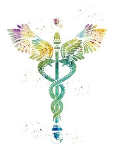 a medical symbol with wings on it