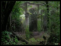 an old building in the middle of a forest with lots of trees and bushes around it