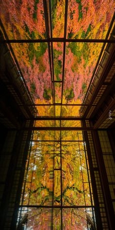 an image of the inside of a building with autumn leaves on it's windows