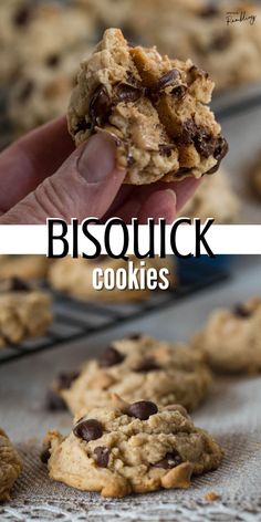 a hand holding up a cookie with chocolate chip cookies in the background and text overlay that reads, bisouck cookies