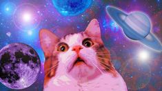 an image of a cat looking up at the sky with planets in the background,