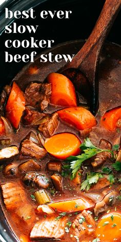 the best ever slow cooker beef stew with carrots and parsley