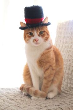 an orange and white cat wearing a black top hat sitting on a bed with a window behind it