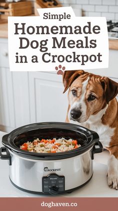 a dog sitting in front of a crock pot with the words, simple homemade dog meals in a crockpot