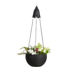 a hanging planter filled with flowers and greenery on a metal chain, isolated against a white background