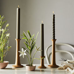 three candles are sitting next to each other on a table with some plants in them