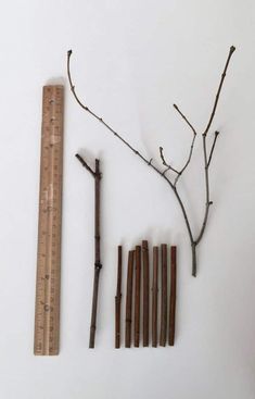 the tools are laid out on the table to be used for making branches and twigs