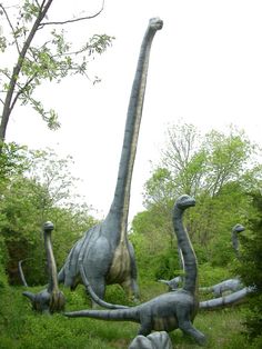 an image of dinosaurs in the grass