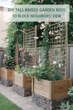 an outdoor garden with wooden planters and trelliss on the sides, along with text overlay reading diy tall raised garden beds to block neighbor's view