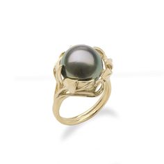 Wear the beauty of Hawaiian maile leaves with the Maile Leaf Tahitian Black Pearl Ring in Gold. Maile leaves in gold wrap around the large 12-13mm Tahitian black pearl, delivering a distinguished tropical style. Locally made in Hawaiʻi. Shop Now. Black Pearl Ring, Peacock Pearl, Hawaiian Jewelry, Tahitian Black Pearls, Gold Wrap, Gem Diamonds, Purple Pearl, Silver Shop, Black Pearl