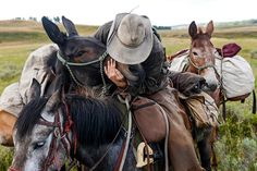 three horses with saddles and hats on their backs in the grass near a field