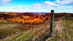 an autumn landscape with colorful trees in the background and a barbed wire fence to the right