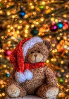 a teddy bear wearing a santa hat and scarf sitting on a rock in front of a christmas tree