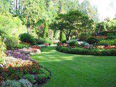 a garden filled with lots of different types of flowers and plants on top of green grass