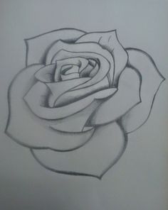 a pencil drawing of a rose flower