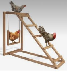 three chickens are standing on top of a ladder that is shaped like a chicken house