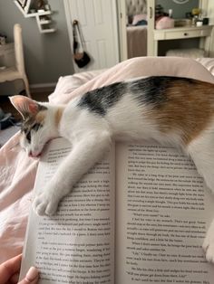 a cat laying on top of an open book while being petted by someone's hand