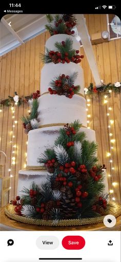 a tall white cake with pine cones and evergreens on the top is surrounded by lights