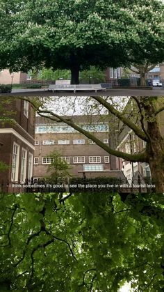 an image of a tree in front of a building with the caption that reads, it's time to go see what you are doing