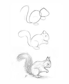 the squirrel and the squirrel's tail are drawn in pencil