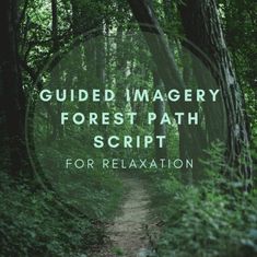 Guided Imagery Scripts, Yoga Nidra Script, Guided Imagery Meditation, Grounding Meditation, Space The Final Frontier