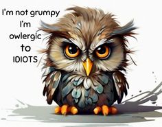 an owl sitting on the ground with its eyes open and words written below it that say i'm not grumpy