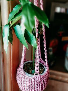 a potted plant in a pink crochet hanging basket