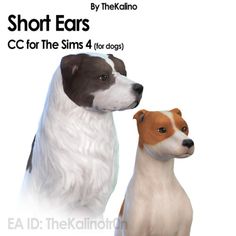 two dogs are standing next to each other in front of the words short ears cc for the sims 4 for dogs