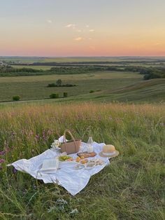 a picnic is set up in the middle of a field with flowers and food on it