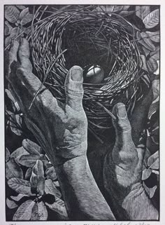 two hands holding up a bird's nest in the middle of leaves and branches