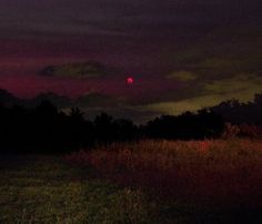 the sun is setting in the sky over some trees and grass with red light on it