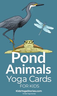 the cover of pond animals yoga cards for kids, featuring two birds and a frog