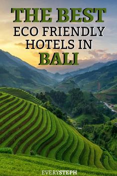 the best eco friendly hotels in bali