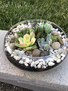 a glass bowl filled with rocks and succulents