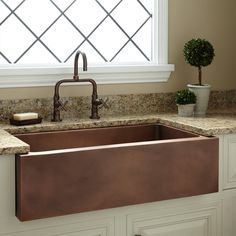 a kitchen sink sitting under a window next to a potted plant on top of a counter