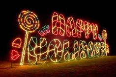 a train covered in christmas lights at night