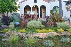 a house with lots of plants in front of it and trees around the back yard