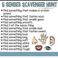 the five senses scavenger hunt