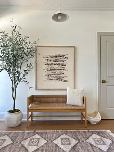 a living room with a couch, rug and potted plant