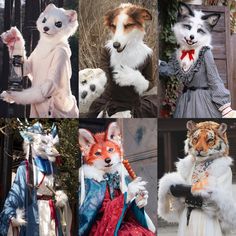 four different pictures of animals dressed in costumes