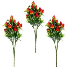 three red flowers with green stems in front of white background, set of 3 pieces