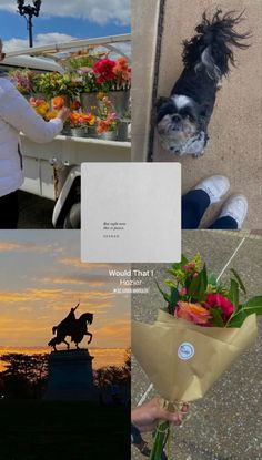 a collage of photos with flowers and a dog on a horse drawn carriage in the background