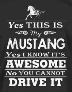 a black t - shirt with white lettering that says yes this is my mustang, yes i know it's awesome